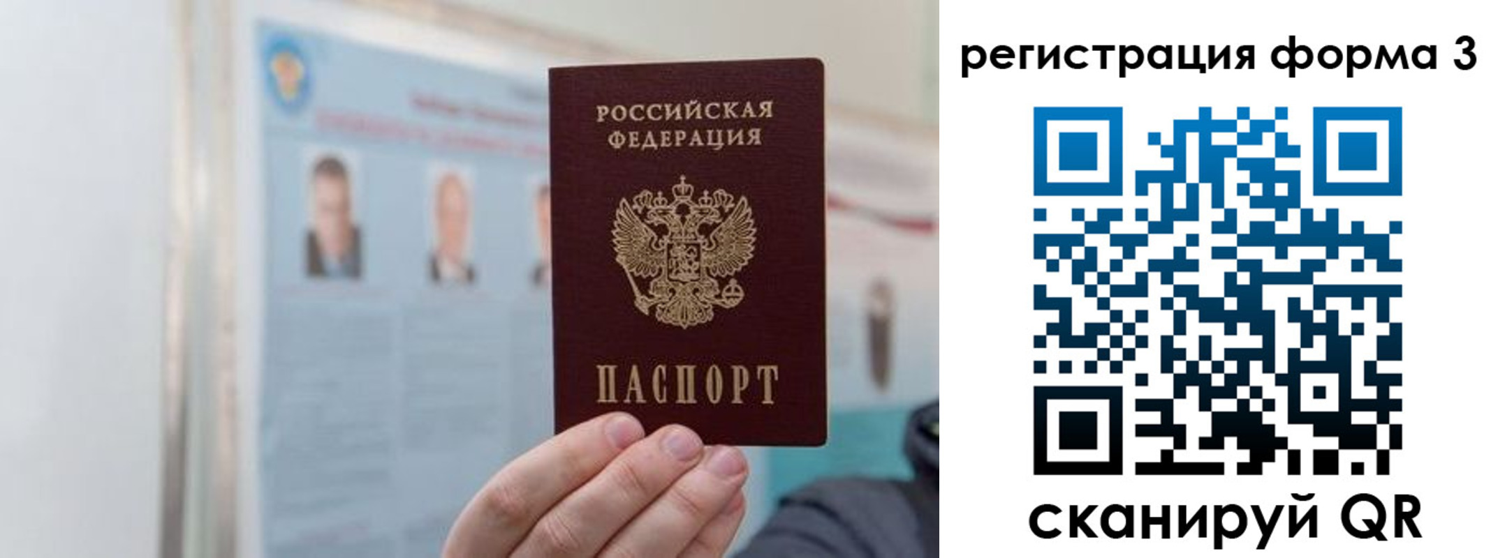 прописка в Нелидово